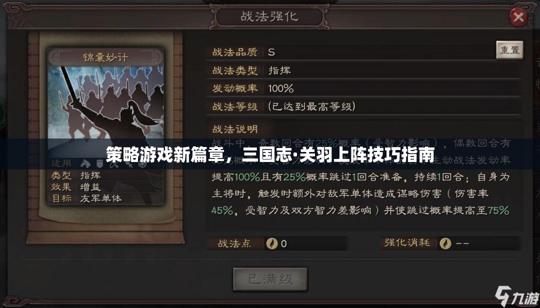 三國志·關羽，策略游戲新篇章的戰(zhàn)斗技巧與策略指南