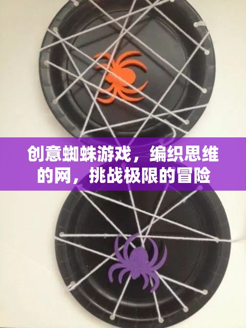 創(chuàng)意蜘蛛游戲，編織思維之網(wǎng)，挑戰(zhàn)極限冒險(xiǎn)