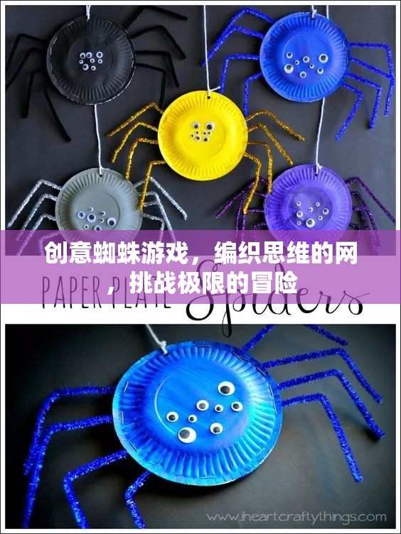 創(chuàng)意蜘蛛游戲，編織思維之網(wǎng)，挑戰(zhàn)極限冒險(xiǎn)