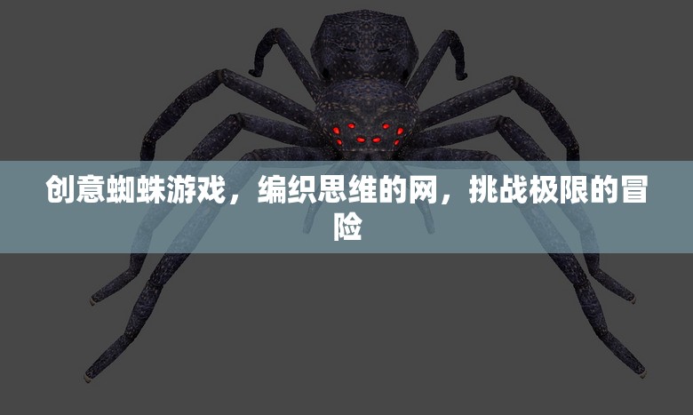 創(chuàng)意蜘蛛游戲，編織思維之網(wǎng)，挑戰(zhàn)極限冒險(xiǎn)