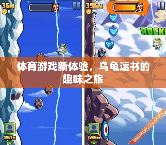 烏龜運書，解鎖體育游戲新體驗的趣味之旅