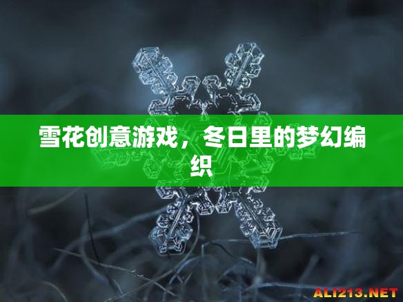 冬日夢(mèng)幻編織，雪花創(chuàng)意游戲  第2張