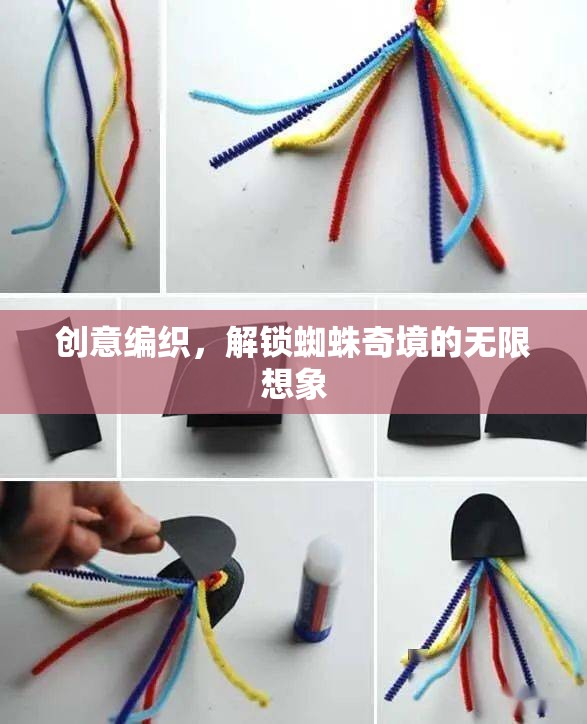 創(chuàng)意編織，解鎖蜘蛛奇境的無限想象之旅