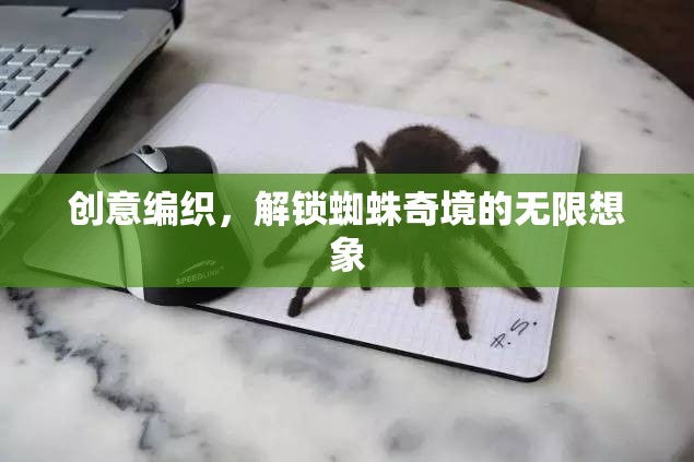 創(chuàng)意編織，解鎖蜘蛛奇境的無限想象之旅