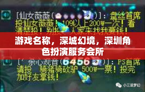 深城幻境，深圳角色扮演服務(wù)會(huì)所的虛擬冒險(xiǎn)之旅