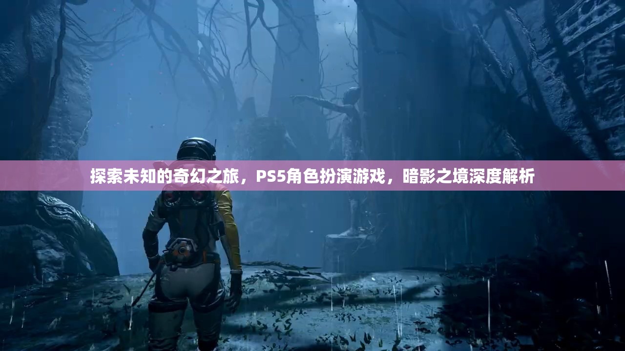 探索未知的奇幻之旅，PS5角色扮演游戲暗影之境深度解析