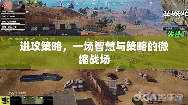 智慧與策略的微縮戰(zhàn)場，進(jìn)攻策略的深度解析