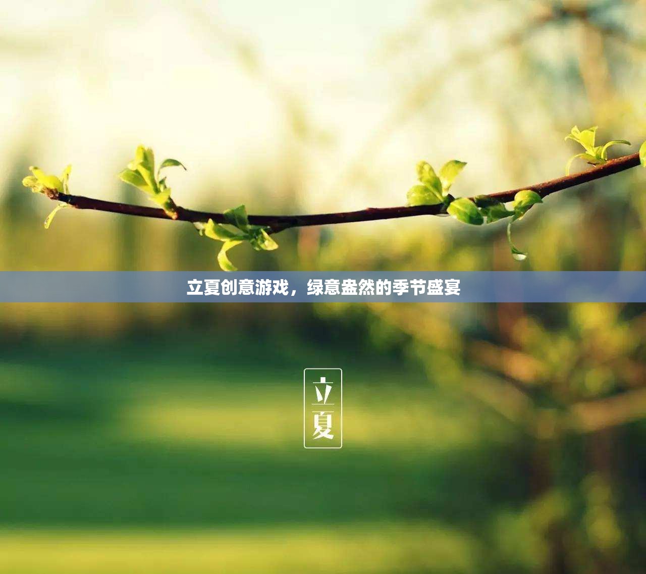 立夏綠意狂歡，創(chuàng)意游戲打造季節(jié)盛宴