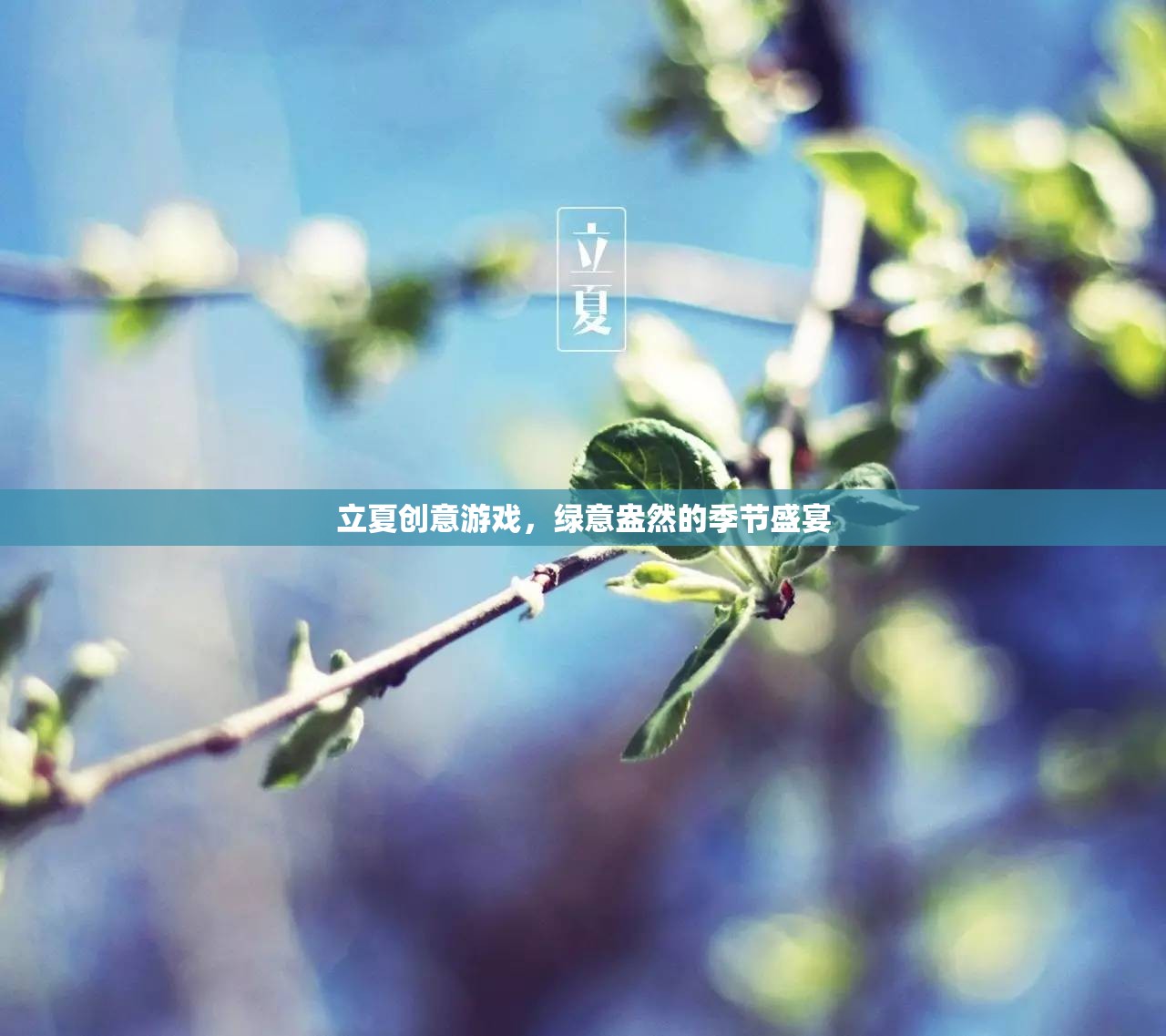 立夏綠意狂歡，創(chuàng)意游戲打造季節(jié)盛宴