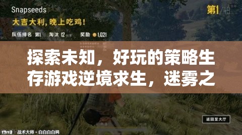 迷霧之地，逆境求生——探索未知的刺激策略生存游戲