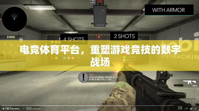 重塑游戲競(jìng)技的數(shù)字戰(zhàn)場(chǎng)，電競(jìng)體育平臺(tái)的崛起