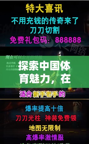 電腦游戲中的中國體育魅力，激情與榮耀的探索之旅