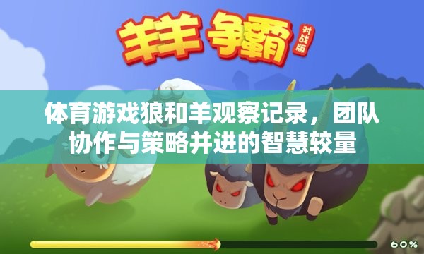 狼與羊的智慧較量，體育游戲中的團隊協(xié)作與策略挑戰(zhàn)