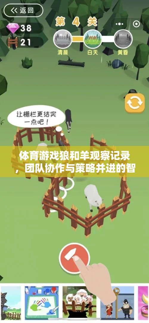 狼與羊的智慧較量，體育游戲中的團隊協(xié)作與策略挑戰(zhàn)