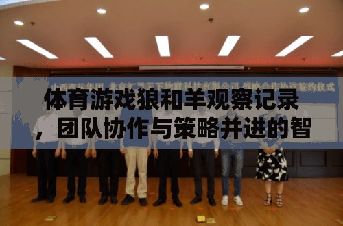 狼與羊的智慧較量，體育游戲中的團隊協(xié)作與策略挑戰(zhàn)