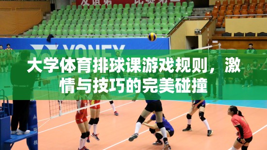 激情與技巧的碰撞，大學(xué)體育排球課游戲規(guī)則解析