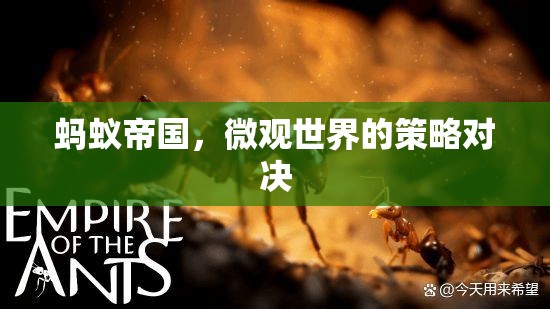 微觀世界的策略對(duì)決，螞蟻帝國(guó)的啟示