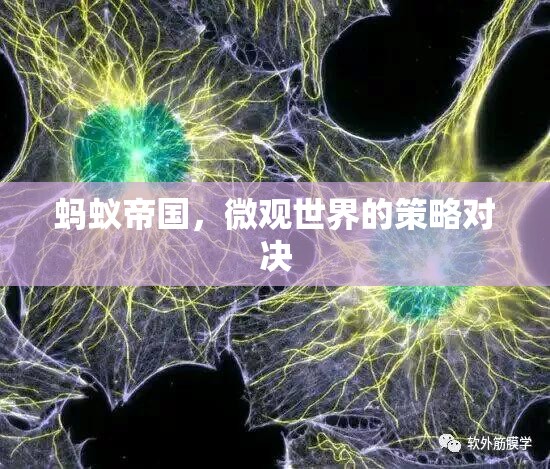 微觀世界的策略對(duì)決，螞蟻帝國(guó)的啟示