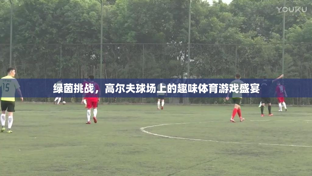綠茵挑戰(zhàn)，高爾夫球場(chǎng)上的趣味體育游戲盛宴