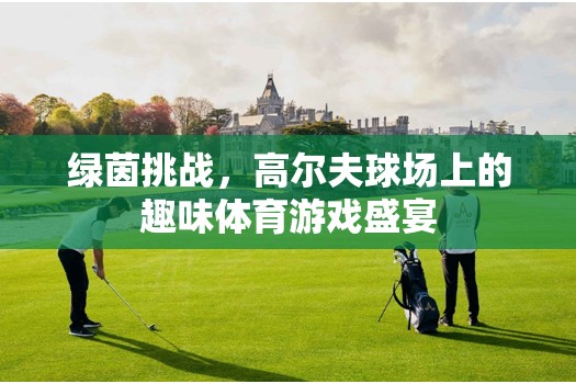 綠茵挑戰(zhàn)，高爾夫球場(chǎng)上的趣味體育游戲盛宴