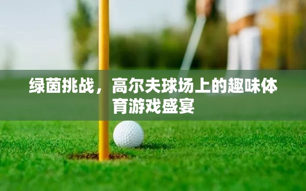 綠茵挑戰(zhàn)，高爾夫球場(chǎng)上的趣味體育游戲盛宴