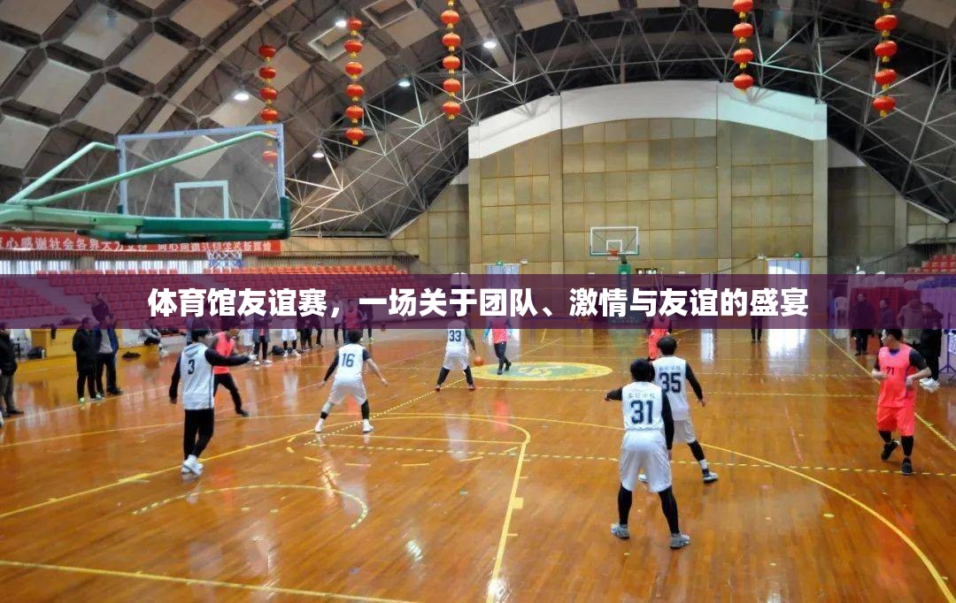 體育館友誼賽，團(tuán)隊(duì)、激情與友誼的完美碰撞