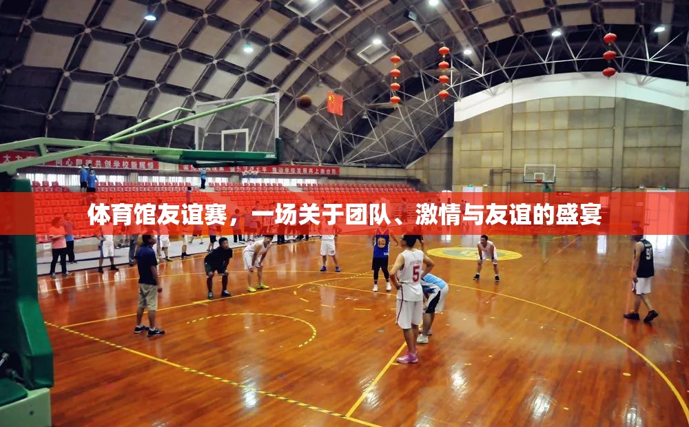 體育館友誼賽，團(tuán)隊(duì)、激情與友誼的完美碰撞