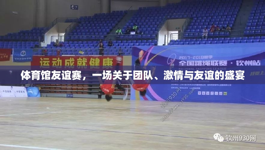體育館友誼賽，團(tuán)隊(duì)、激情與友誼的完美碰撞