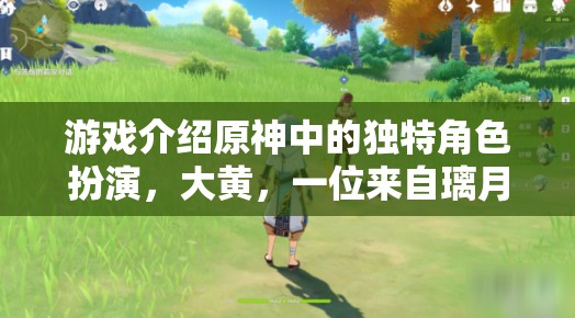 原神璃月港神秘旅者大黃，解鎖獨(dú)特角色扮演的冒險(xiǎn)之旅
