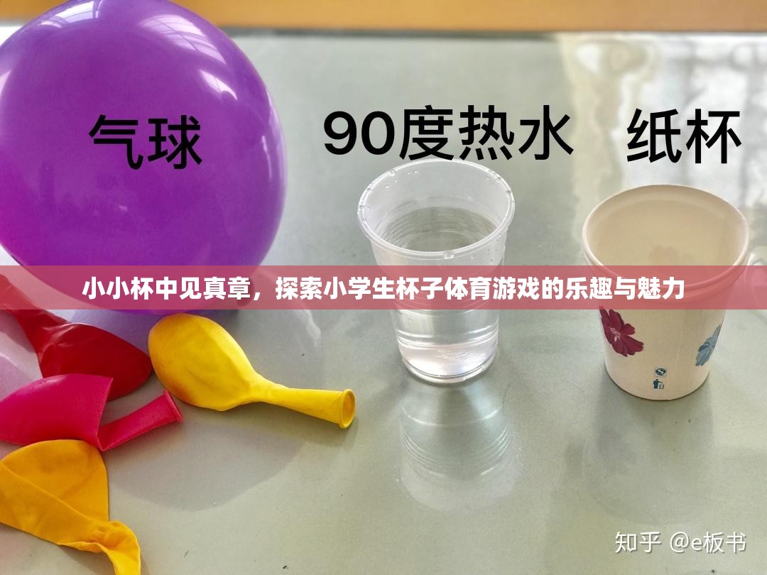 小小杯中見真章，探索小學生杯子體育游戲的樂趣與魅力