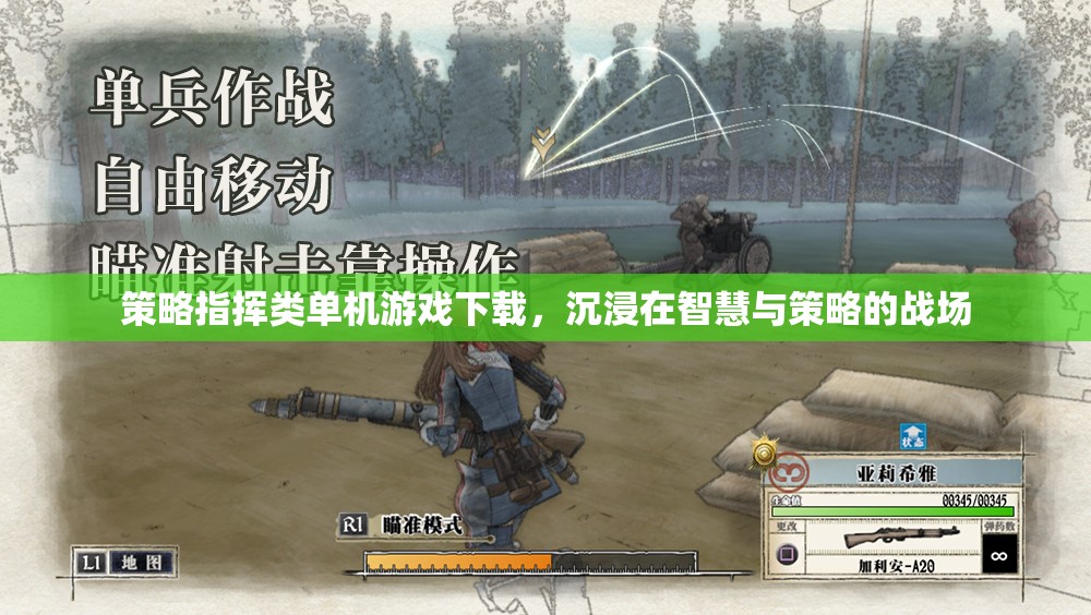 智慧與策略的戰(zhàn)場，探索策略指揮類單機游戲下載的魅力