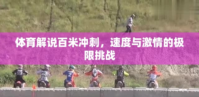 百米沖刺，體育解說中的速度與激情極限挑戰(zhàn)