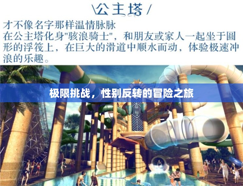 極限挑戰(zhàn)，性別反轉(zhuǎn)的冒險之旅  第3張
