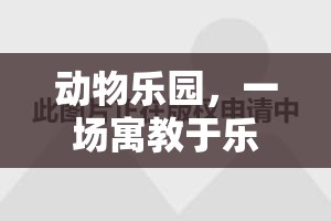 寓教于樂，動物樂園的體育盛宴