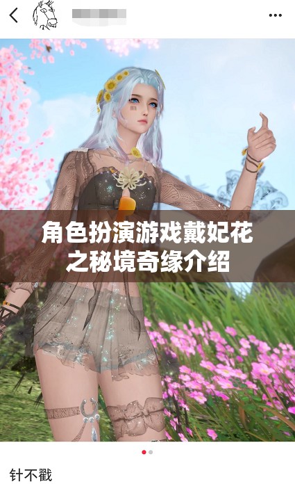 戴妃花之秘境奇緣，角色扮演游戲的新篇章  第2張