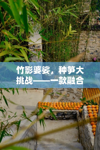 竹影婆娑，種筍大挑戰(zhàn)——自然與競技的完美融合