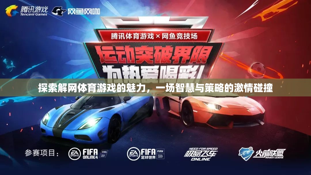 解網(wǎng)體育游戲，智慧與策略的激情碰撞