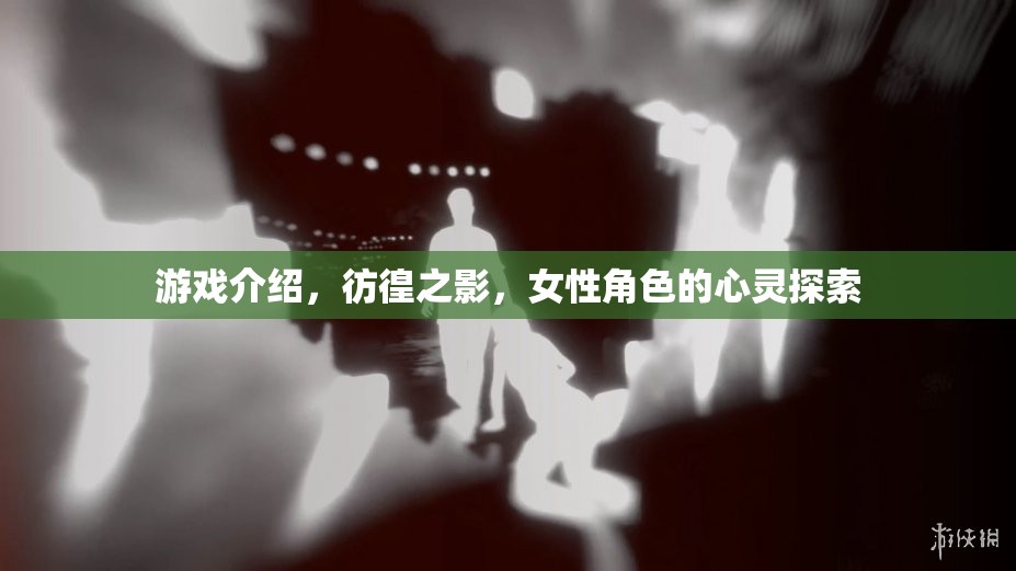 彷徨之影，女性角色的心靈探索之旅  第2張