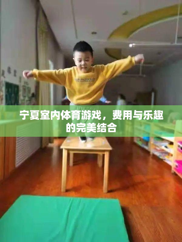 寧夏室內(nèi)體育游戲，費用與樂趣的完美結(jié)合