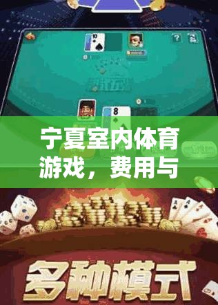 寧夏室內(nèi)體育游戲，費用與樂趣的完美結(jié)合