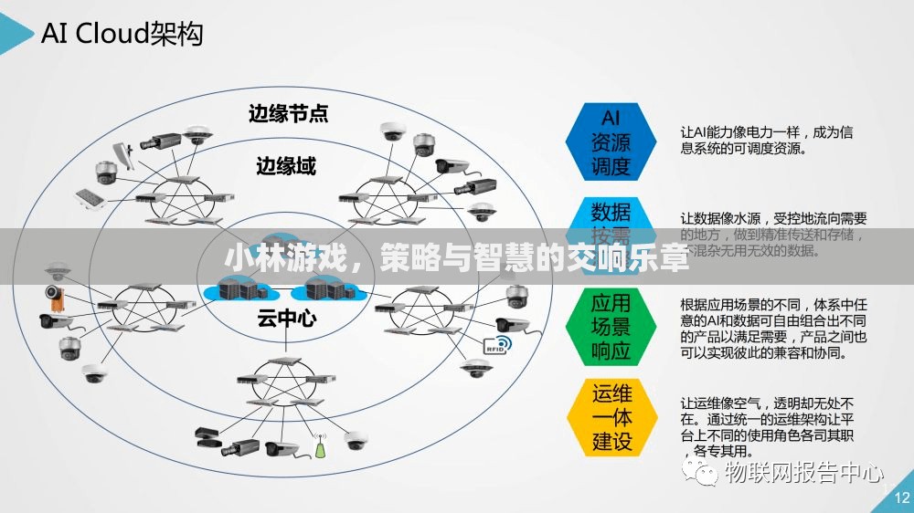 小林游戲，策略與智慧的交響樂章