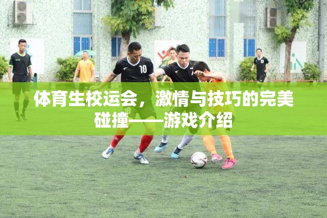 校運(yùn)會(huì)，體育生激情與技巧的火花四濺