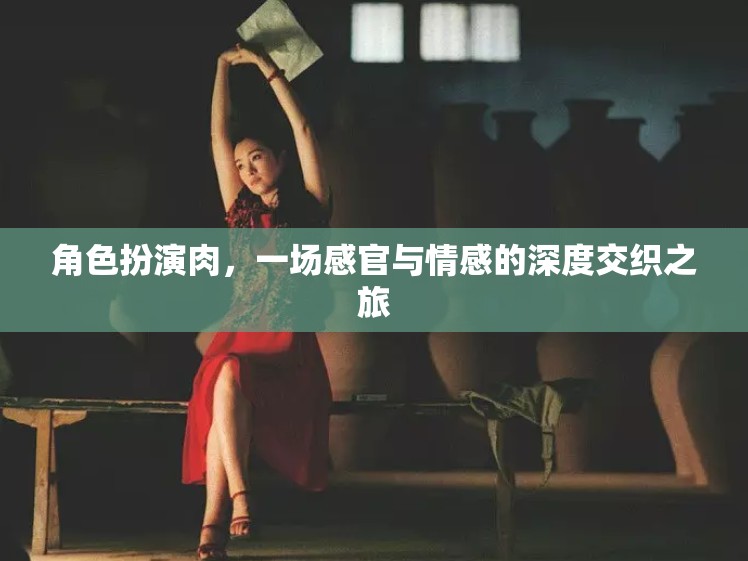 角色扮演肉，一場(chǎng)感官與情感的深度交織之旅  第2張