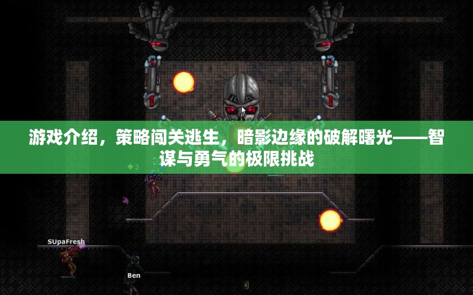 暗影邊緣的破解曙光，智謀與勇氣的極限策略闖關(guān)逃生挑戰(zhàn)