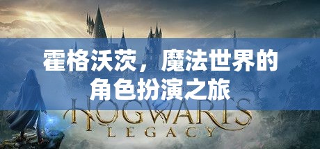 霍格沃茨，魔法世界的角色扮演之旅