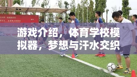 虛擬賽場上的夢想與汗水，體育學校模擬器之旅