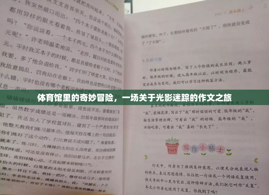 光影迷蹤，體育館里的奇妙冒險(xiǎn)之旅