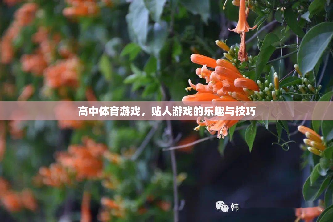 高中體育游戲，貼人游戲的樂趣與技巧