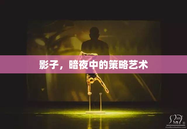 暗夜中的策略藝術(shù)，影子的魅力
