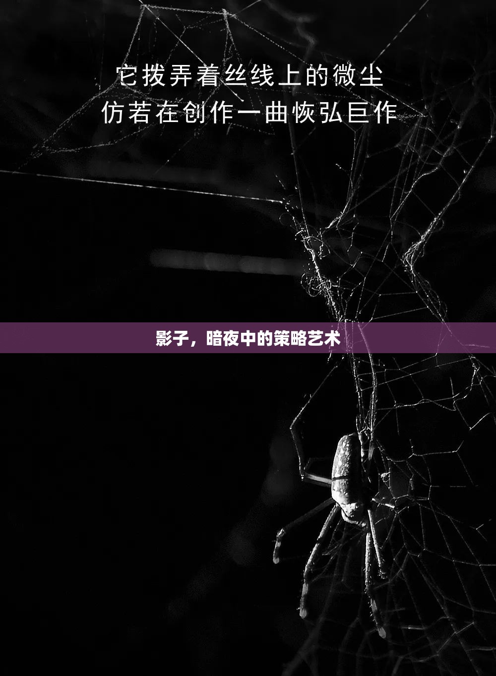 暗夜中的策略藝術(shù)，影子的魅力